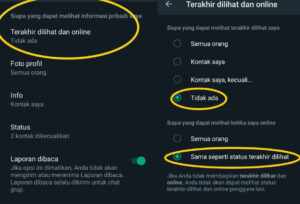 Cara Agar WhatsApp Tidak Terlihat Online Dan Mengetik Di Semua HP