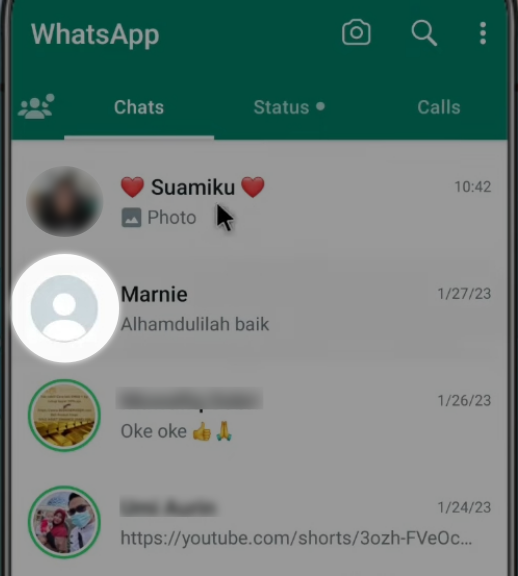 Cara Mengetahui WA Diblokir Tanpa Chat - tampilan profil whatsapp blank kosong tanpa foto profil