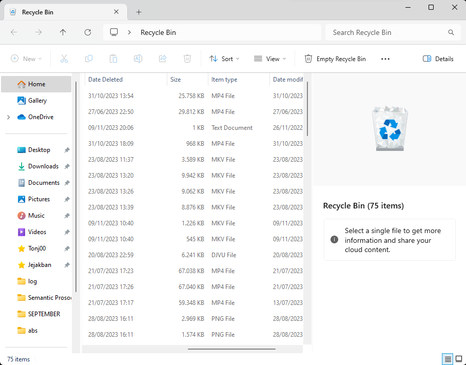 Cara Membersihkan File Sampah di Laptop Windows - recycle bin 2